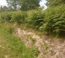 Terrain vue cot&eacute; route