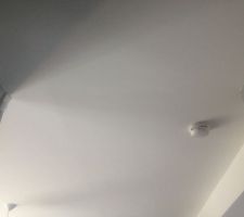 D&eacute;tecteur de mouvement, alarme incendie fournie avec