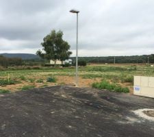 Photo prise après la réception du terrain.
