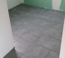 Carrelage sols SDB et WC en 30x60 ( idem pièce de vie,60x60): geotiles cemento gris semipoli