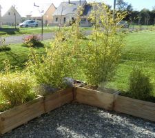 Jardinières faisant l'angle de ma terrasse