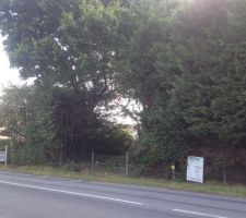 Pr&eacute;paration du terrain, achet&eacute; arbor&eacute; et non viabilis&eacute;.
Il a fallut abattre, d&eacute;biter et enlever les souches de 32 sapins et 4 ch&ecirc;nes :O