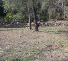 Deuxi&egrave;me partie &agrave; suivre...