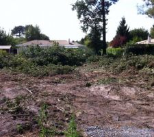 Nettoyage en cours...