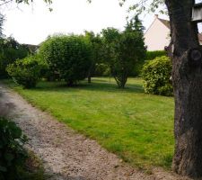 Le terrain au moment de l'achat en juillet 2013.