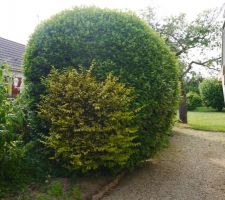 L'acc&egrave;s au terrain au moment de l'achat en juillet 2013.