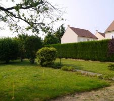 Le terrain au moment de l'achat en juillet 2013.