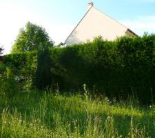 Le terrain, 3 jours apr&egrave;s son acquisition le 19/06/2014.