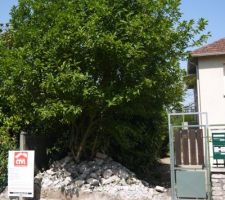 Les premiers travaux : ouvertures de l'acc&egrave;s au terrain vers le 15 juillet 2014.