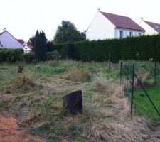 Les premiers travaux : L'&eacute;lagage du terrain r&eacute;alis&eacute; vers fin juillet 2014.