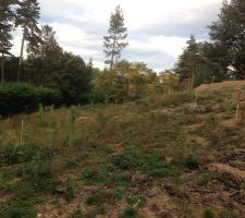 IMPLANTATION PAR PIQUET