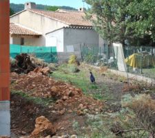 Qui je surprend en train de faire le tour du propriétaire sur mon chantier ?