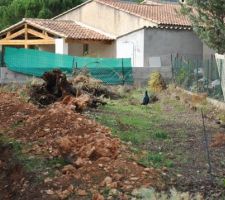 Qui je surprend en train de faire le tour du propriétaire sur mon chantier ?