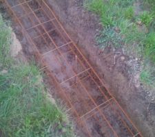 Je me demande a quoi sa ser ces petits piquets que l'on voit ???