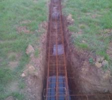 Je me demande a quoi sa ser ces petits piquets que l'on voit ???