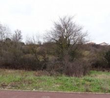 Le terrain avant le d&eacute;but des travaux