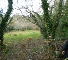 Vue du haut du terrain &agrave; droite