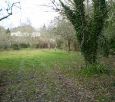 Vue du haut du terrain milieu
