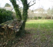 Vue du haut du terrain gauche
