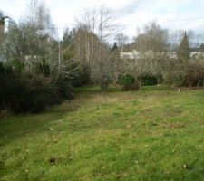 Fond du terrain a gauche