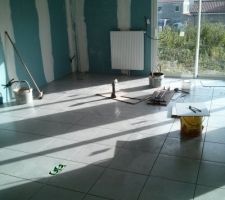 Le salon avec le bloom silver 45x45