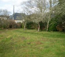 Bas droit du terrain