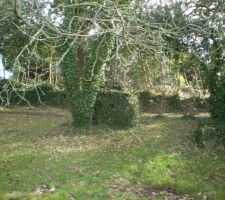 Haut droit du terrain