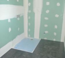 Reste les joints du carrelage.
La faience au mur   pose ensuite de la colonne de douche pour ensuite poser les meubles et portes de la douche
