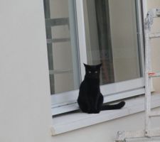 Même le chat a hâte de rentrer dans la maison ;-)