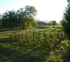 Vue du piquet nord-est