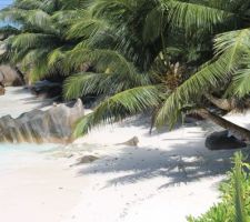 Anse d'argent Magnifique!!!!