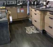 Modele de la cuisine