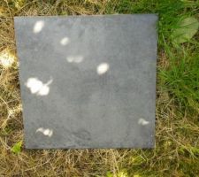 Carrelage cellier 48x48 bricodepot