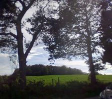 Apr&egrave;s une courte recherche, car nous avons un constructeur motiv&eacute;, nous avons trouv&eacute; facilement un terrain de 2400m2 dans un coin tranquille...Vue de devant avant d&eacute;broussaillage et abattage des arbres.