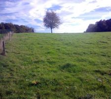 Terrain en pronfondeur.