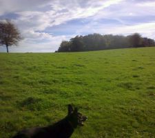 M&ecirc;me notre chien semble appr&eacute;cier le paysage ;)