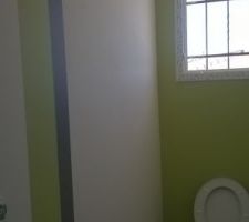 WC vert bambou plus bandeau gris faucon