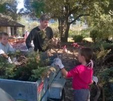 Nettoyage terrain de tous les branchages de cypr&egrave;s que l'on a coup&eacute;. il reste tous ceux de devant &agrave; couper