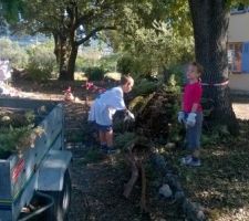Nettoyage terrain de tous les branchages de cypr&egrave;s que l'on a coup&eacute;. il reste tous ceux de devant &agrave; couper