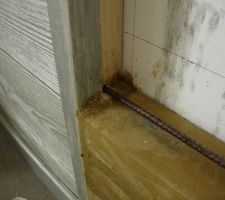 Mise en place du fer à béton.