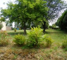 Fa&ccedil;ade Nord du Terrain