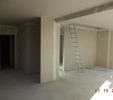 Vue sur cuisine et salon