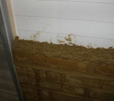 Pose du lit de mortier.