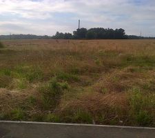 Le terrain, une parcelle de 565 m2