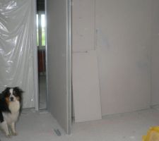 Cookie qui se demande ou en est la construution de sa niche!!!!!