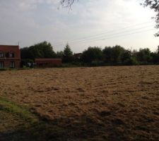 Vue du terrain avant d&eacute;but travaux, bornage r&eacute;alis&eacute;