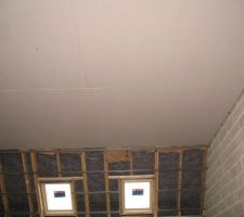 Plafond du niveau parental