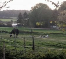 Vue du fond du terrain