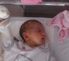 Lilas 16/10/2014