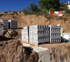 Début vide sanitaire